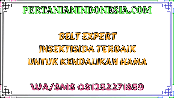 Belt Expert Insektisida Terbaik Untuk Kendalikan Hama